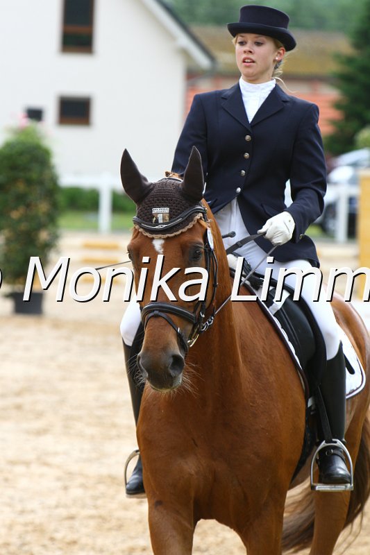 006M3616_Dressur L.JPG